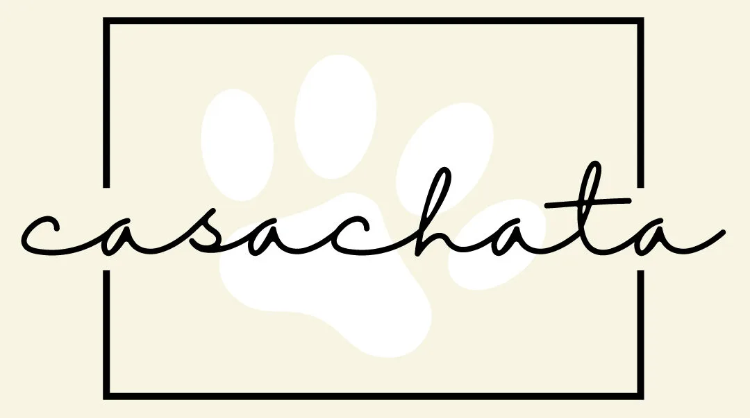 logo casachata