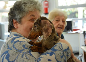 Beneficios del contacto entre cachorros y personas mayores