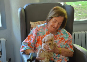 ¿Por qué los Cavapoo y Maltipoo son razas ideales para personas mayores?