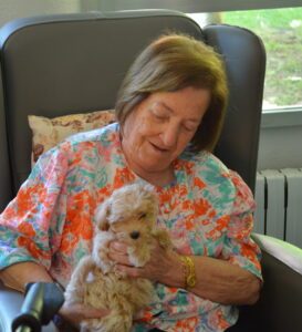 Cachorros y personas mayores