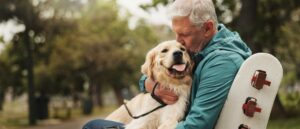 Hombre mayor abrazando a un golden retriever en un parque
