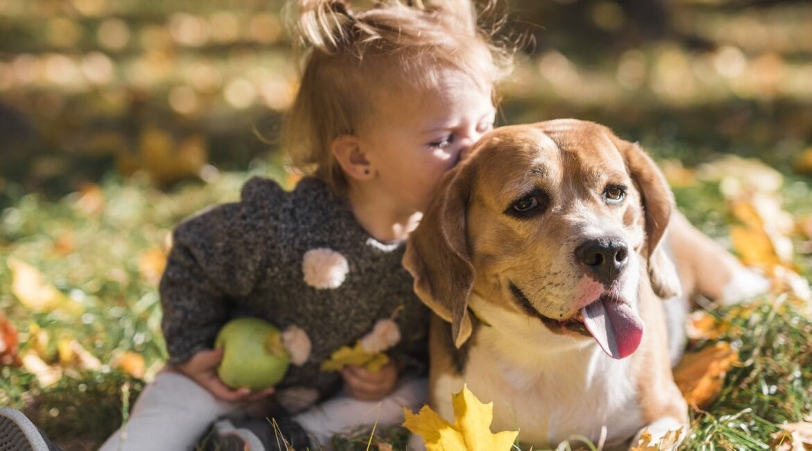 Niña junto a su perro en el césped
