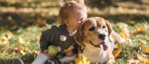 Niña junto a su perro en el césped